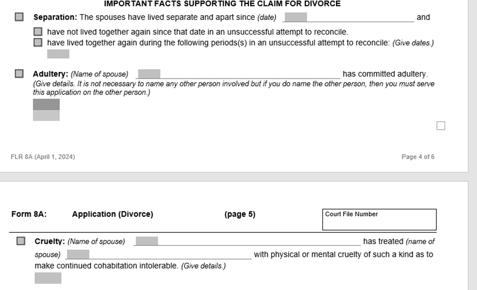 Important Facts Supporting The Claim For Divorce” section at the Form 8A: Application for a simple or joint Divorce